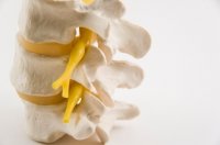 Vancouver chiropractic care treats spinal misalignments